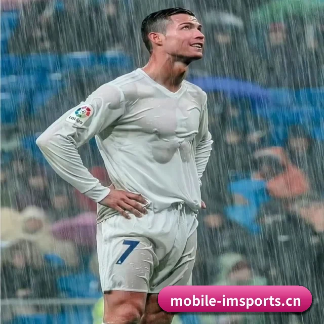 IM体育网址 APP